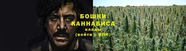 ECSTASY Осинники