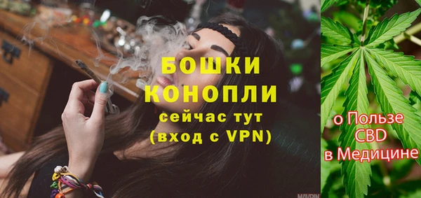 ПСИЛОЦИБИНОВЫЕ ГРИБЫ Нязепетровск