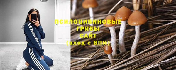 ПСИЛОЦИБИНОВЫЕ ГРИБЫ Нязепетровск